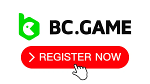 Exploring the Exciting World of BC.Game Casino 25