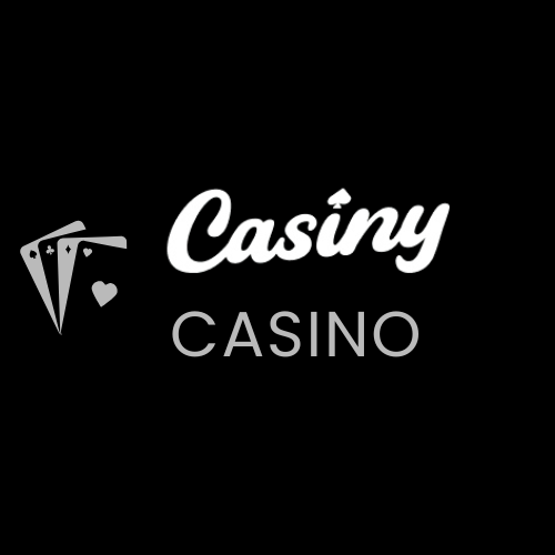 Experience the Thrill of Gaming at casiny1.com